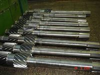 ������������� ����, ���, ���� �����������, �������, �����, ��������� ����, �������, ����������, ����