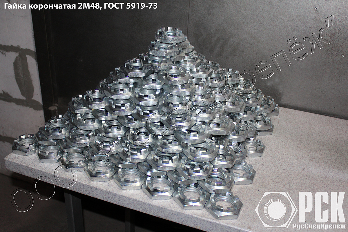 ������ ����� �48 ���� 5919-73, ���������� ����� 2�48 ���� 5919-73