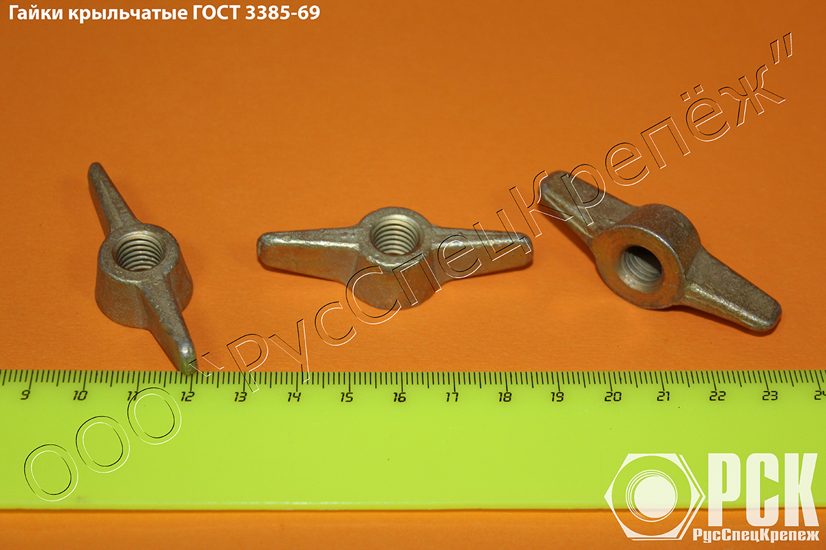 ����� ���������� ���� 3385-69 �10 �� �������