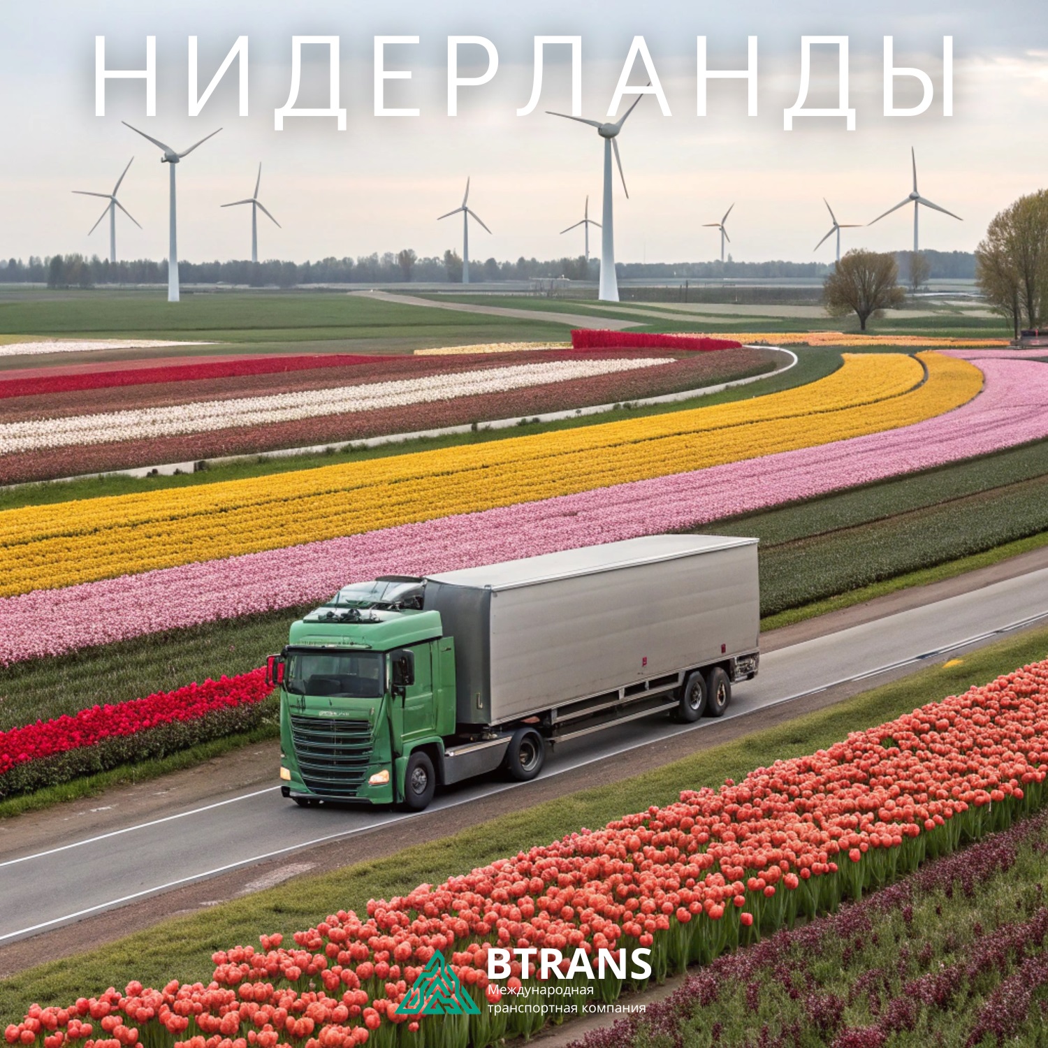 �������� �������� � ��������� ������� �� �����������