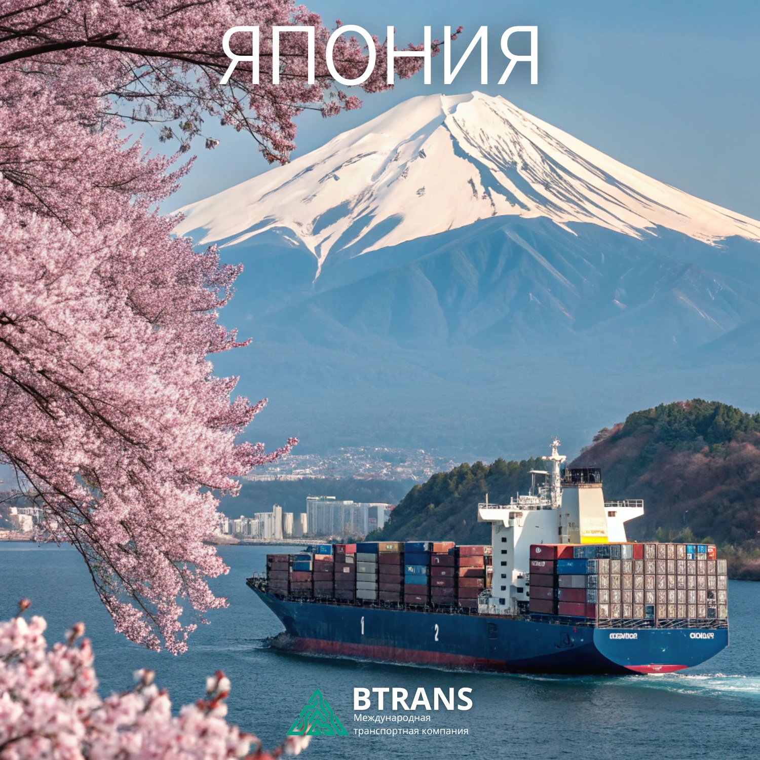 �������� ��������������� ������������ �� ������