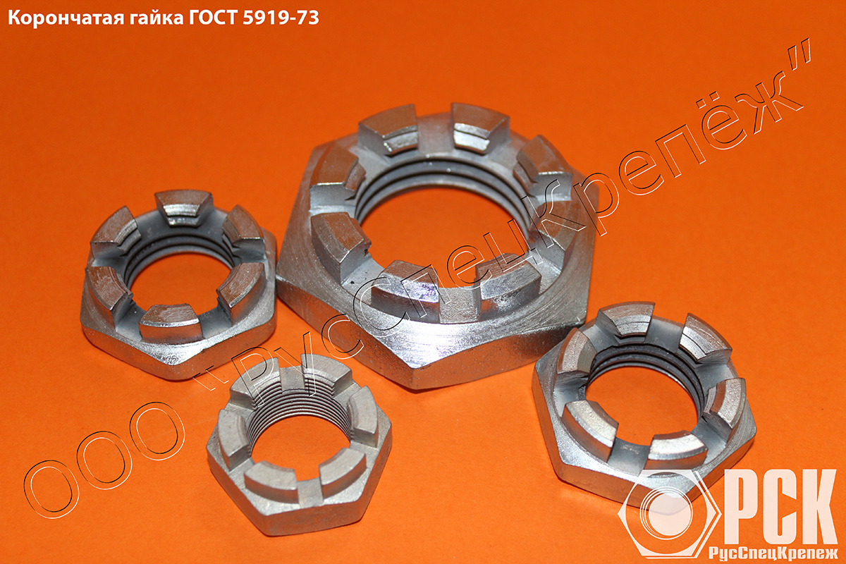 ������ ����� �48 ���� 5919-73, ���������� ����� 2�48 ���� 5919-73