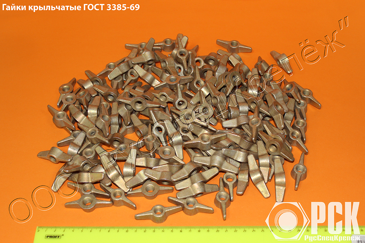 ����� ���������� ���� 3385-69