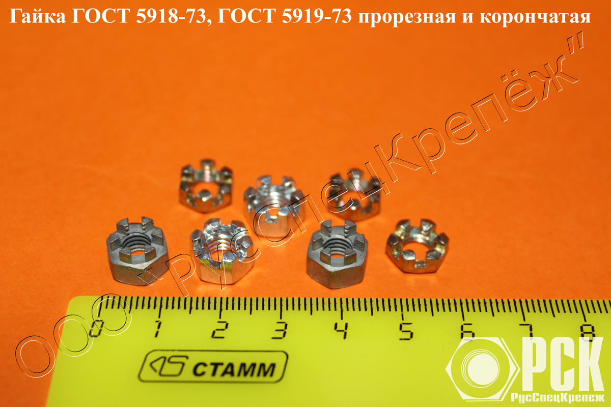 ������������ ����� ���� 5918-73, ���� 5919-73, ����� ���������, ����������