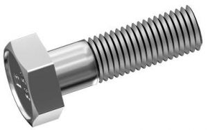 ���� ����, ���������, ��������, �������� ������������� ������������.