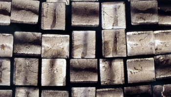 ���� �������� ���������