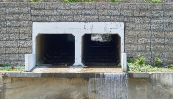 ����������� ���������� ������������ ������������������ �������������� �������