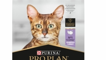 ���� ��������� ��� �������� Zoopt.kz