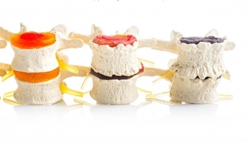 ������������ � ����� �����: ��� �������� �������� ��� ��������� ��������