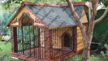 ����� ������ ���� ������ ��� ������