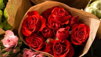 �����, ������� ������� ��� ����: ��� �� ����� ���� �������� ���� �����