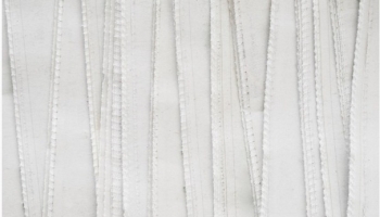 ��� ���������� ������������ ������ � �����������: �������� ������� �����������