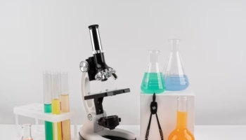 ����������� ������� �� ��������: �� �������� �� ������������� ������������