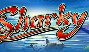 Sharkyslot -       