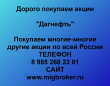 Покупаем акции Дагнефть