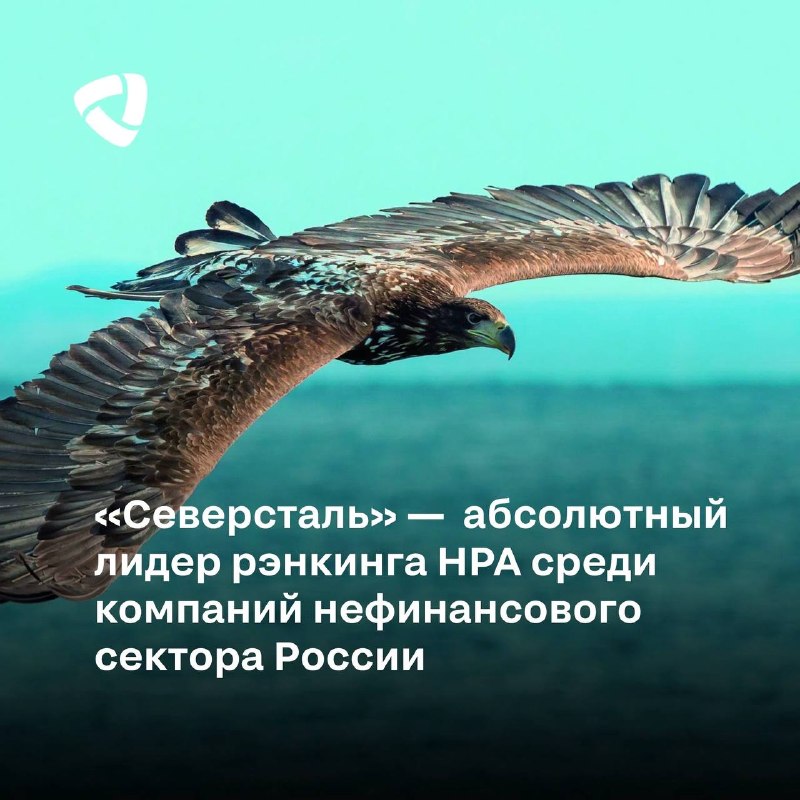 «Северсталь» признана абсолютным лидером рэнкинга НРА среди компаний нефинансового сектора России