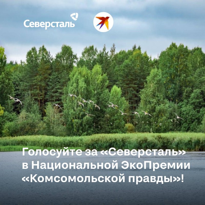 Поддержим проекты «Северстали»!