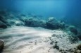 US moves to unlock deep-sea minerals near American Samoa with massive auction