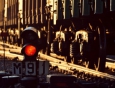 � 2013 ���� ��� ������������ ���� ����� �� ����������� ������ �� 1,2 ����. ������