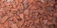 Baosteel ������� �������� �������� ��� ���������� �������� ���� �� ���������