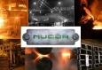 Nucor признала, что её прибыль за первый квартал будет ниже ожиданий инвесторов