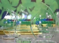 Норникель получил награду за применение зеленых технолоий