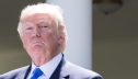 Протекционизм Трампа сильнее всего ударит по союзникам США в Европе и Азии