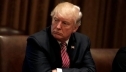Трамп хочет поговорить с лидерами G-20 перед тем как принимать решение по импорту стали