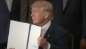 Аналитики уверены, что Трамп объявит о новых пошлинах на сталь до конца года