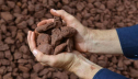 Металлоинвест повышает качество железорудной продукции для устойчивого развития металлургии