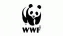 ММК сохранил высокие позиции в рейтинге экологической ответственности WWF России