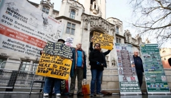 Адвокаты пытаются поднять проблему Brexit в ирландских судах