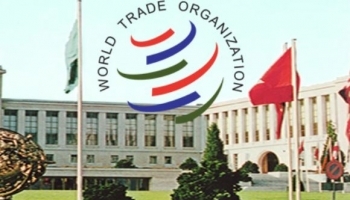 Индия начала процесс в ВТО против США