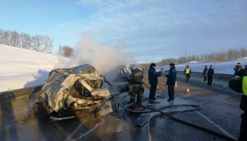 https://www.steelland.ru/pics/news/pn-2019_1_15__21_11.jpg
