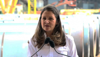 ArcelorMittal ����������� � ������ $1 ���� �� ������� �� ���������������������� ������������