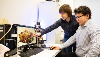 Российские ученые предложили доступную альтернативу редкоземельным магнитам