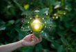 Neutrinovoltaic � ��������� � ��������������� - ���� � IPO