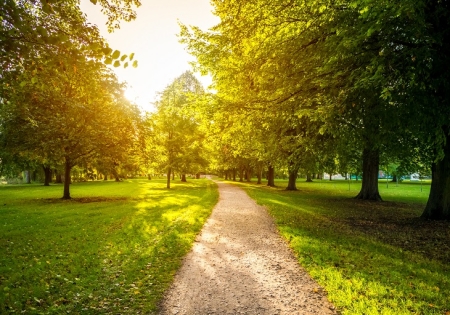 ��������� ������� ������� ����� ������� ���������� ����� � ������