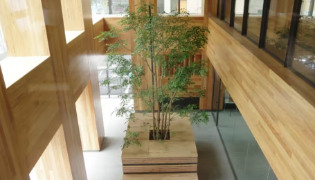 Дерево заменяет сталь, поскольку японские строители борются с изменением климата
