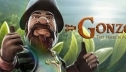 Игровые автоматы - информация для чайников