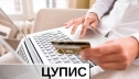 Регистрация в ЦУПИС