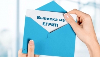 Быстрая проверка ЕГРЮЛ и ЕГРИП
