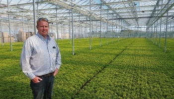 ������ �������� ���������� �� ���������� �������