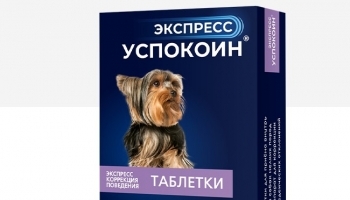 Как снять стресс у собаки